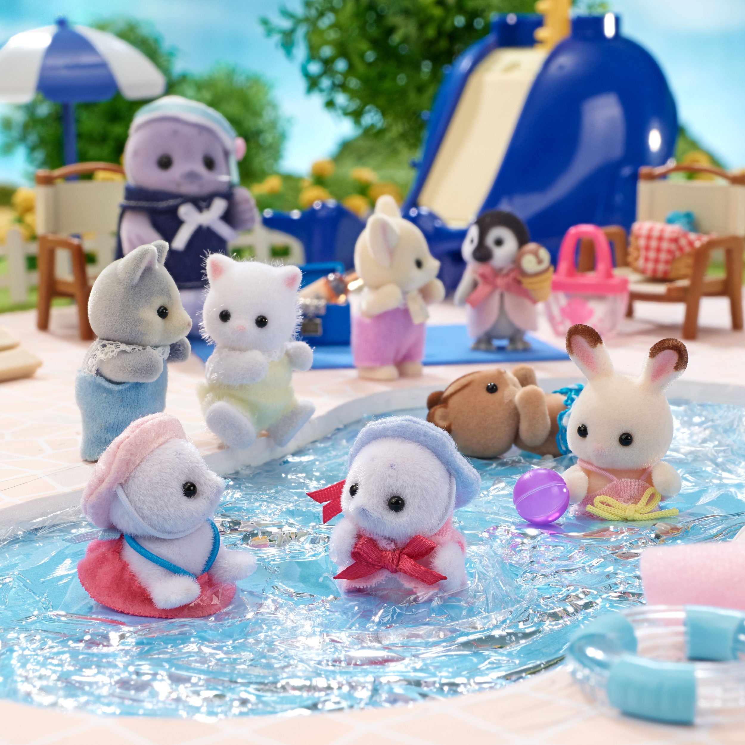 Seal Family