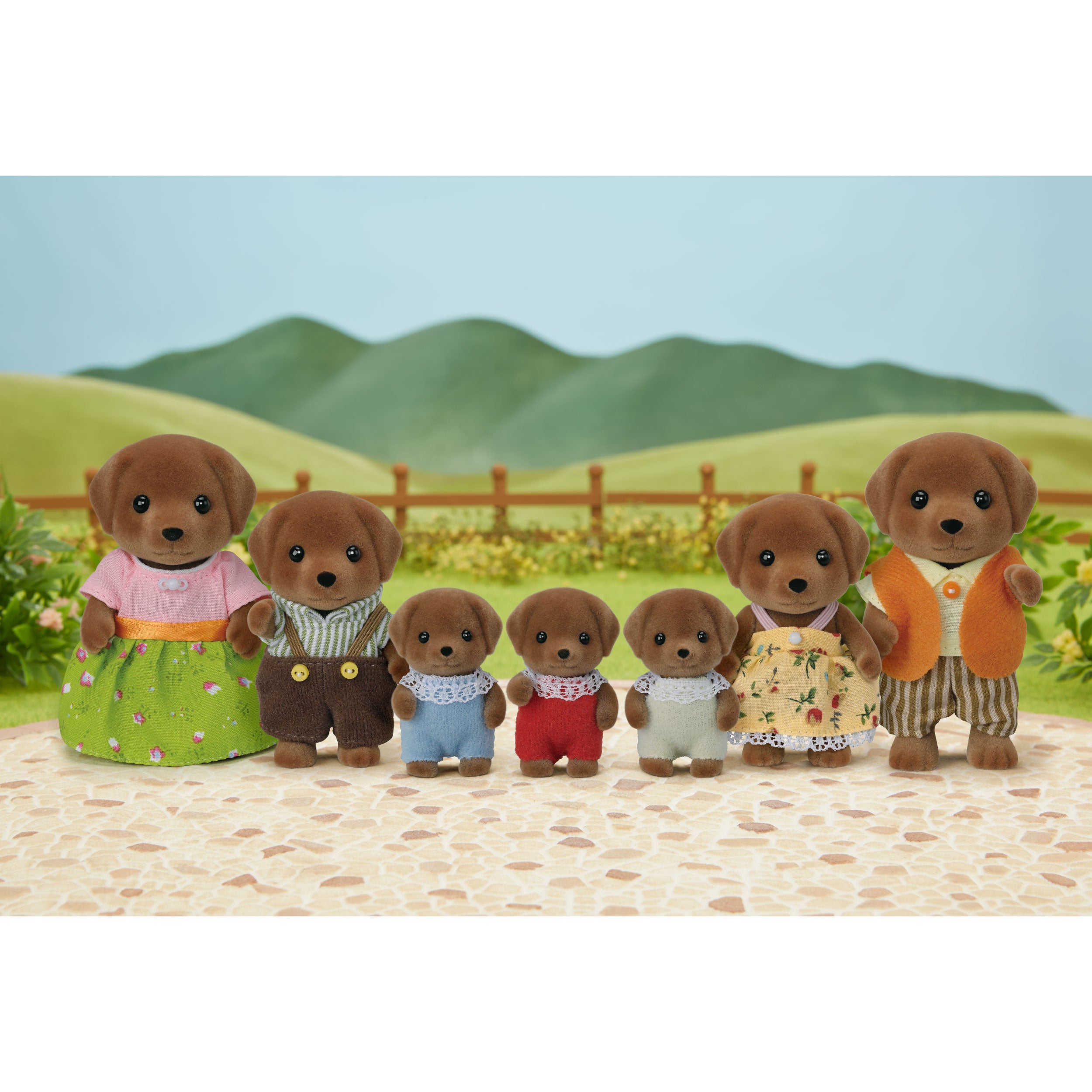Chocolate Labrador Family