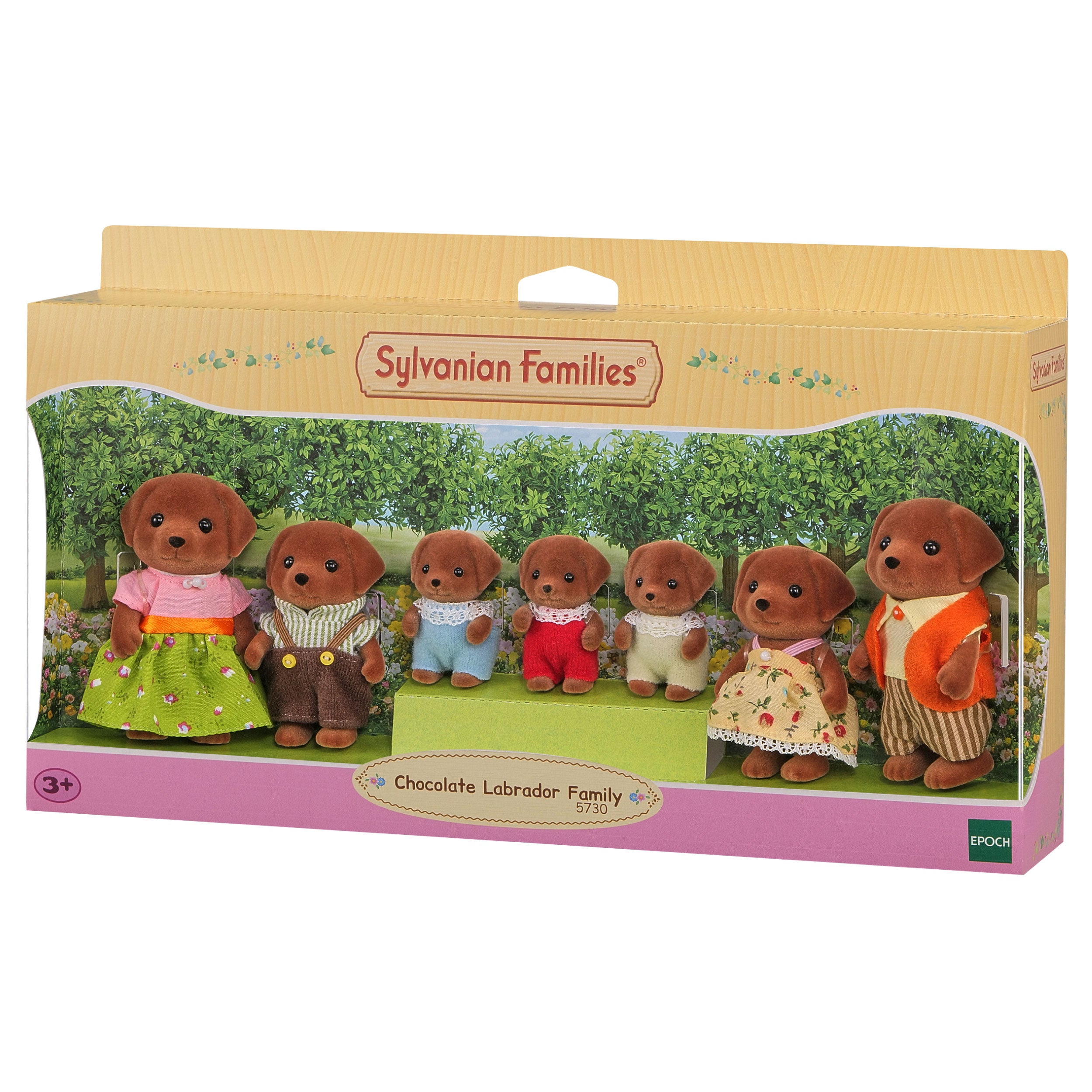 Chocolate Labrador Family