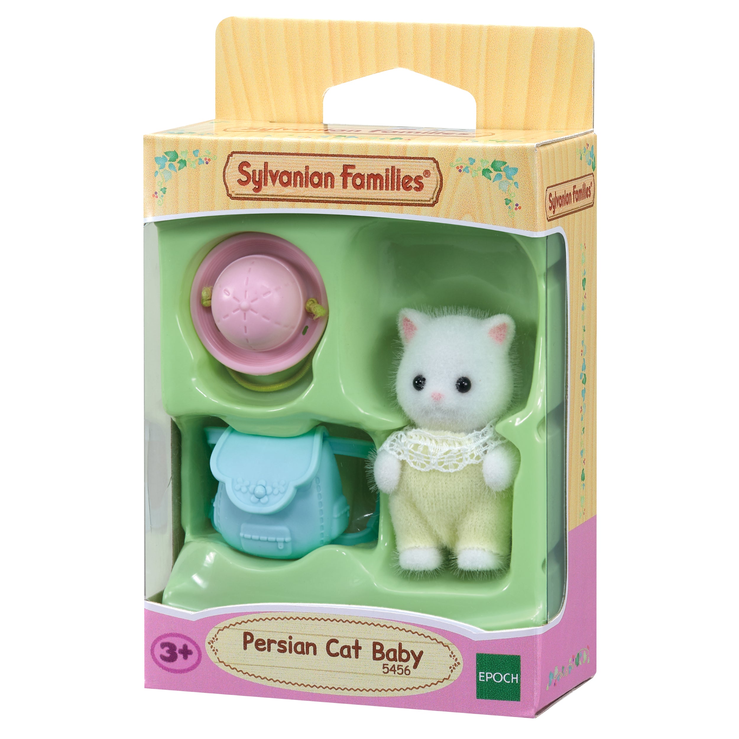 Persian Cat Baby