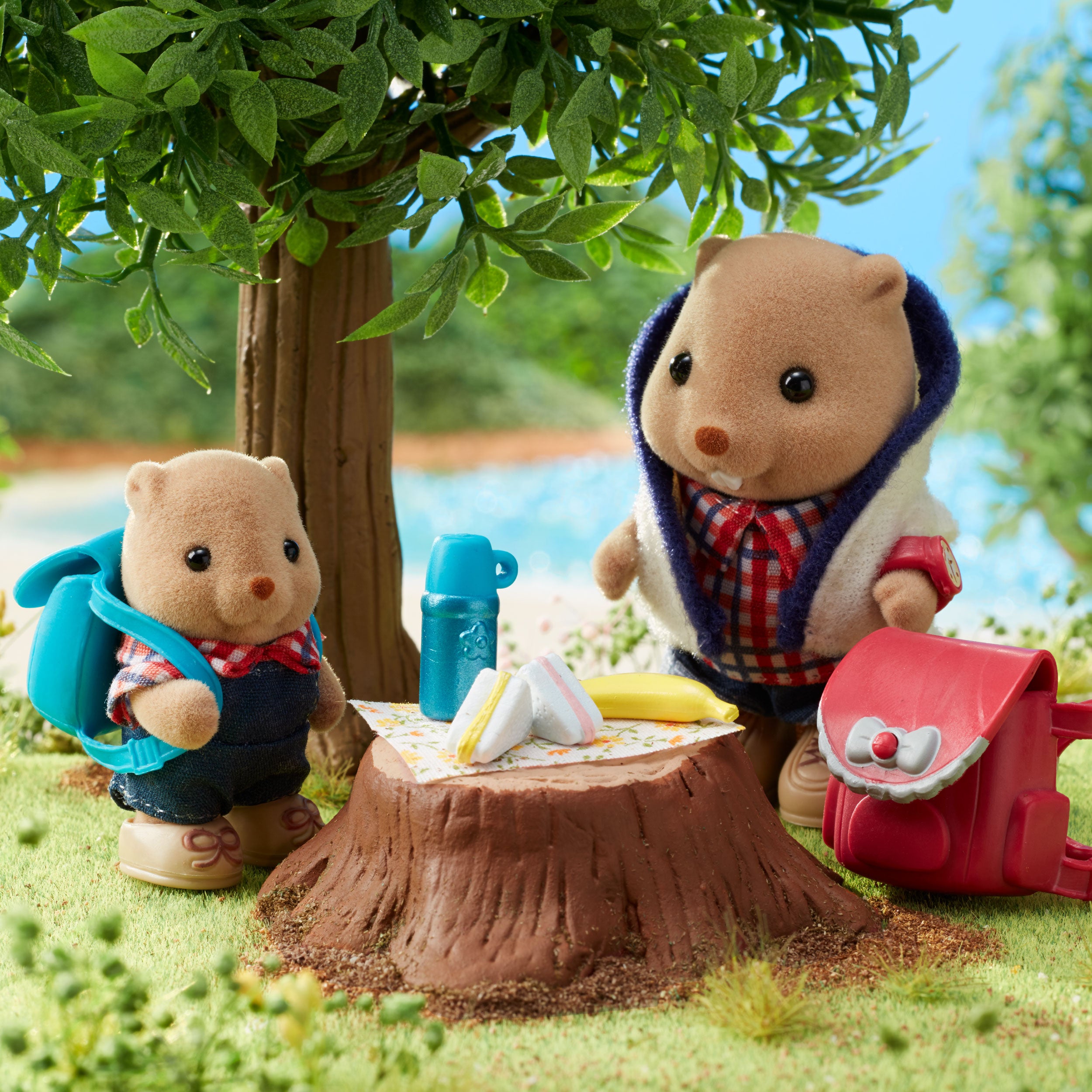Beavers' Hiking Set