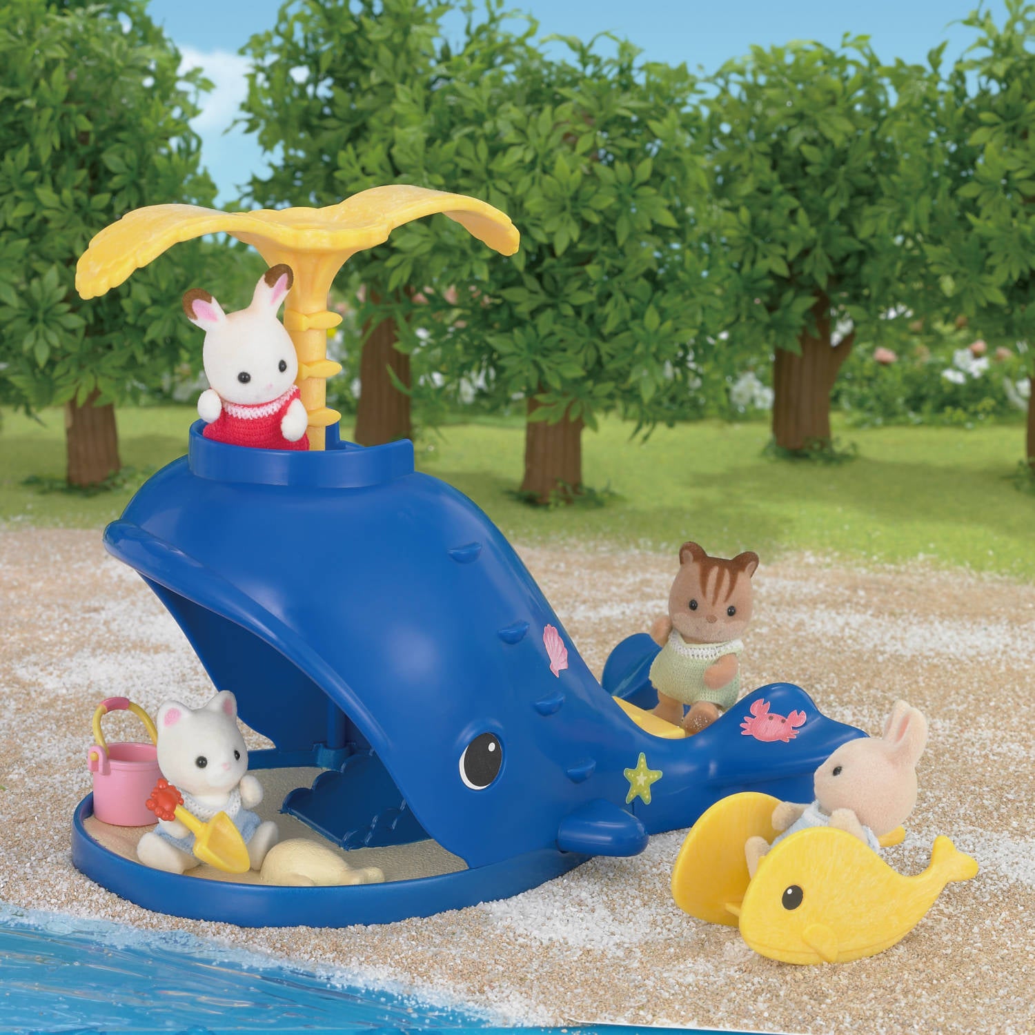 Splash & Play Whale
