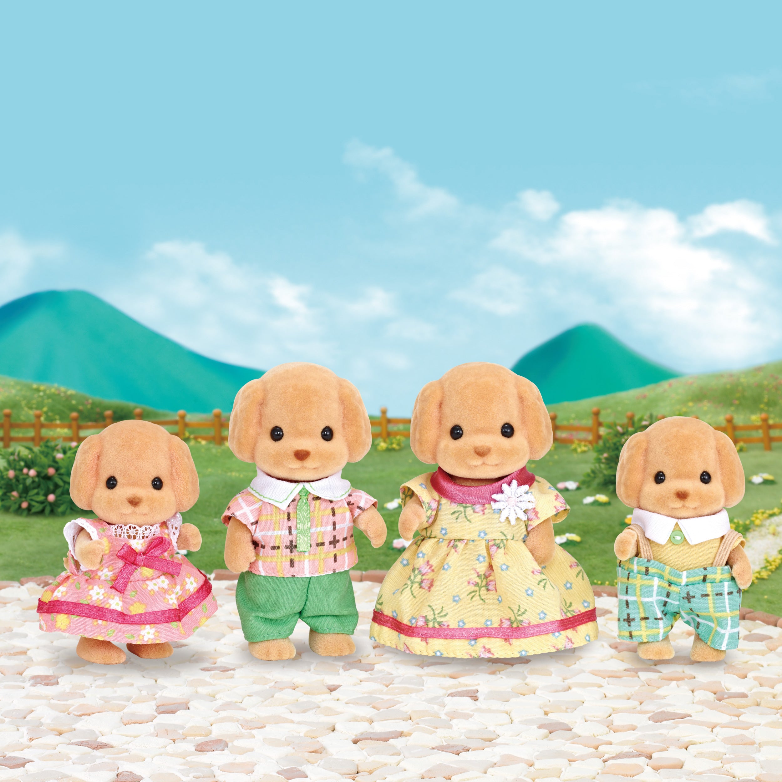 Toy Poodle Family