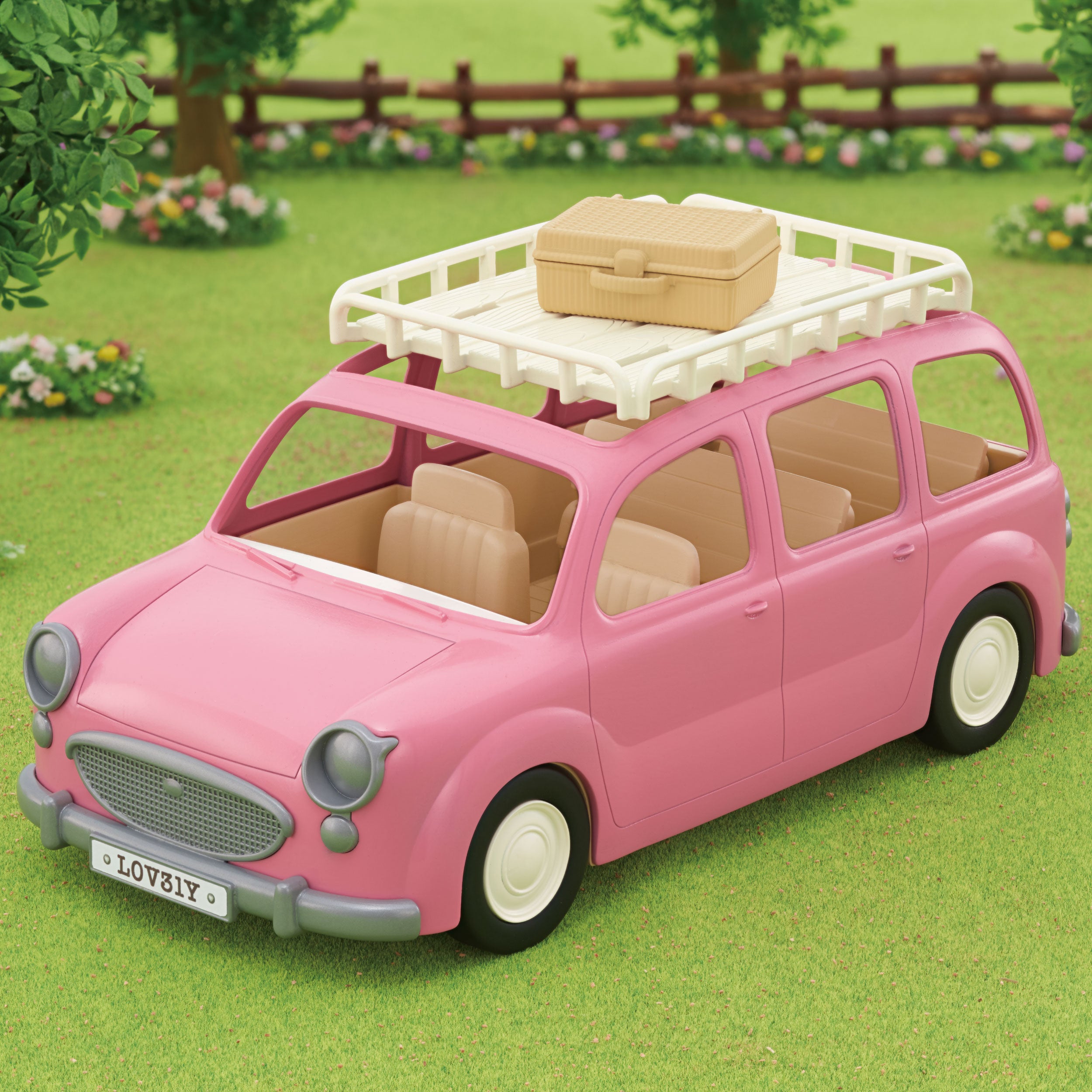 Family Picnic Van