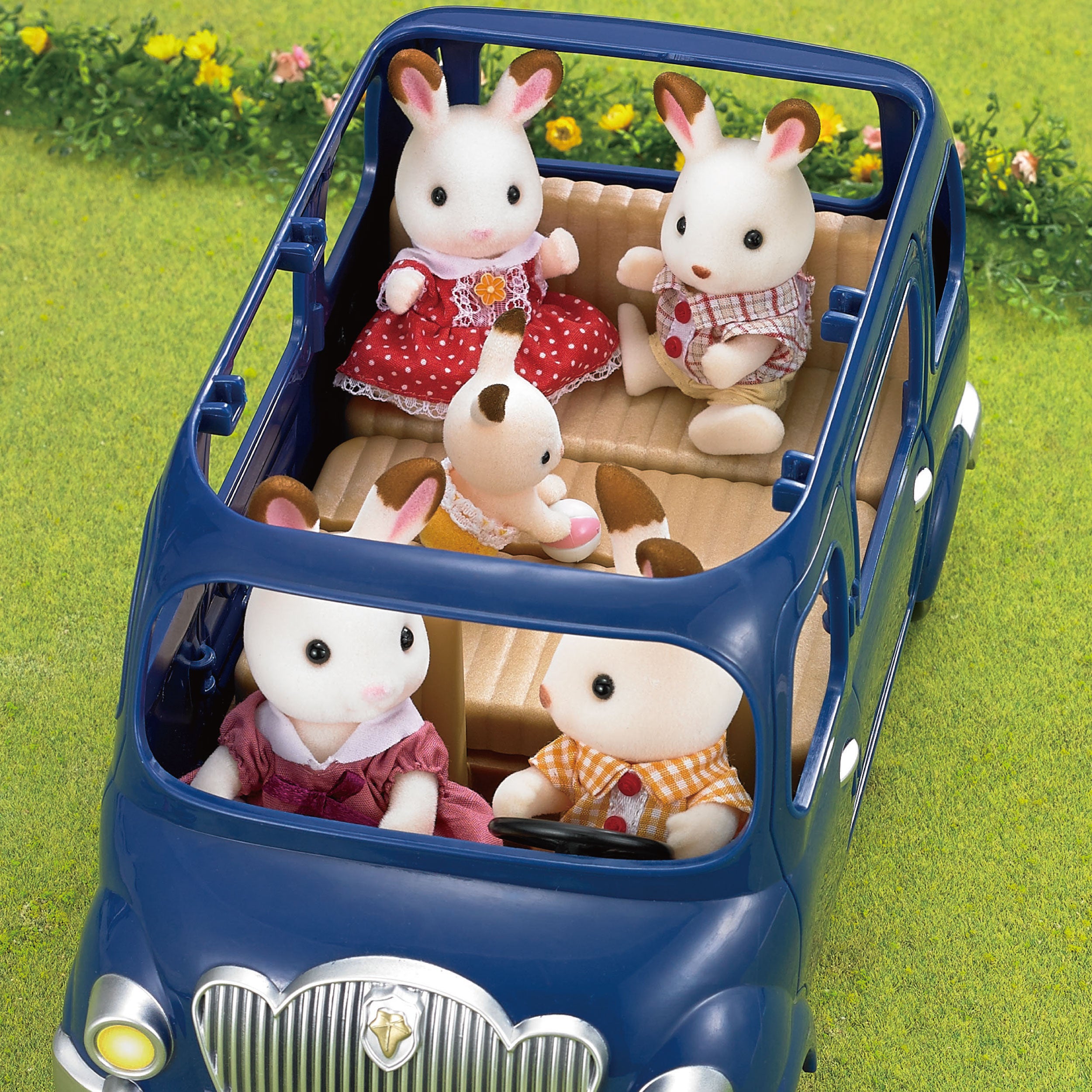 Family Seven Seater
