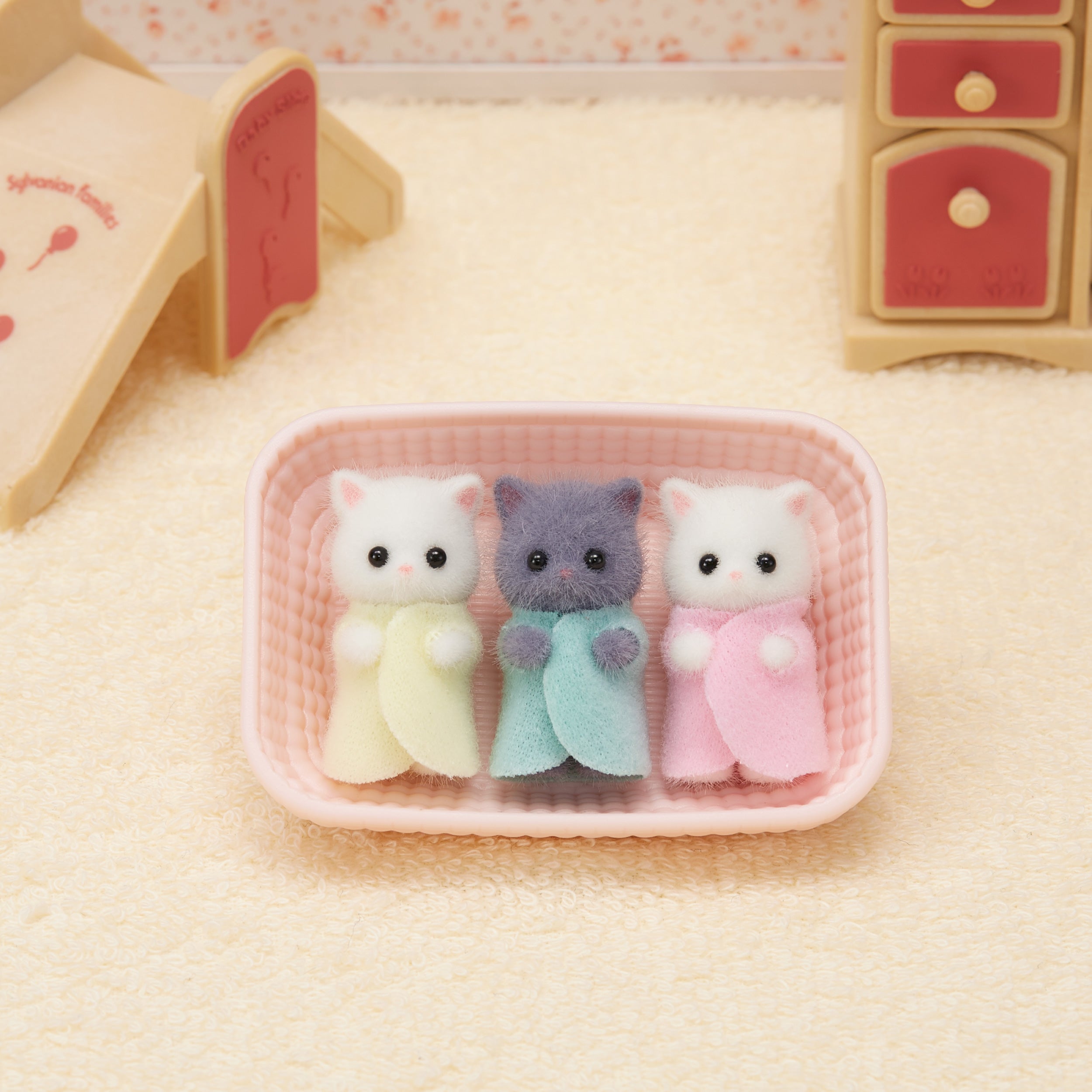 Persian Cat Triplets