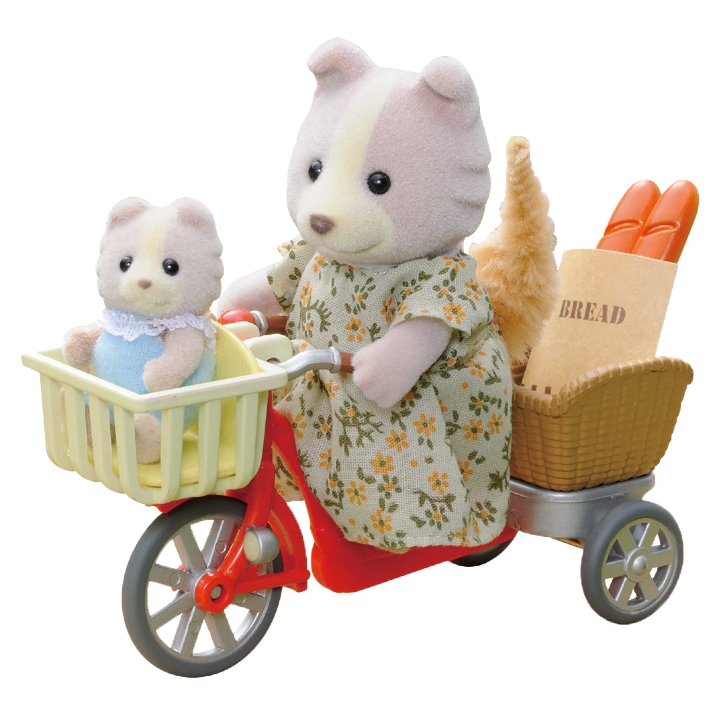 Cycling with Mother