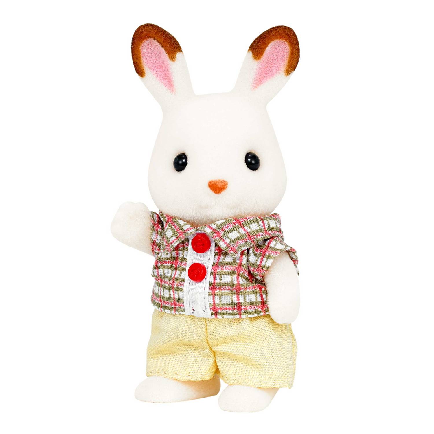 Chocolate Rabbit Boy