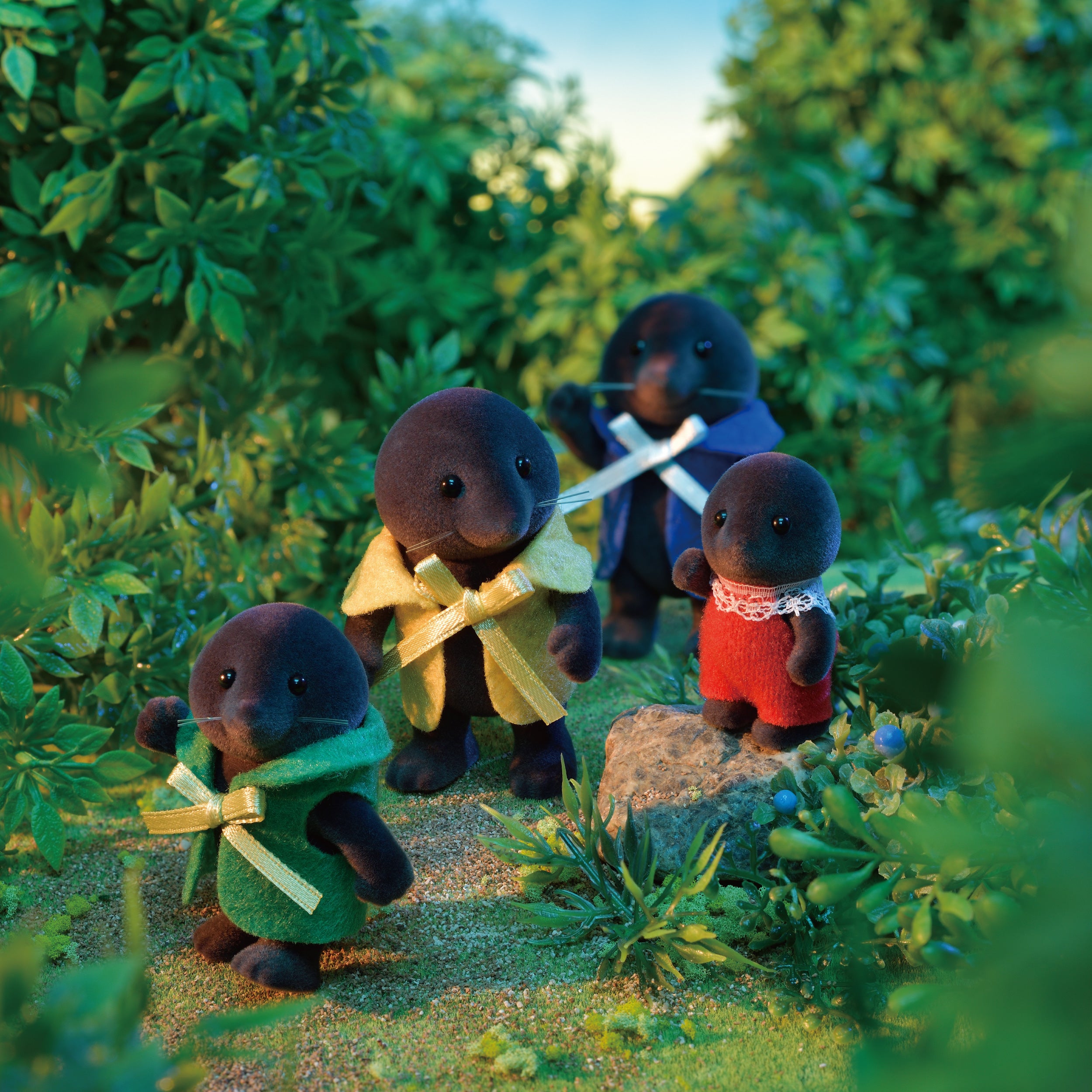 Mole Family