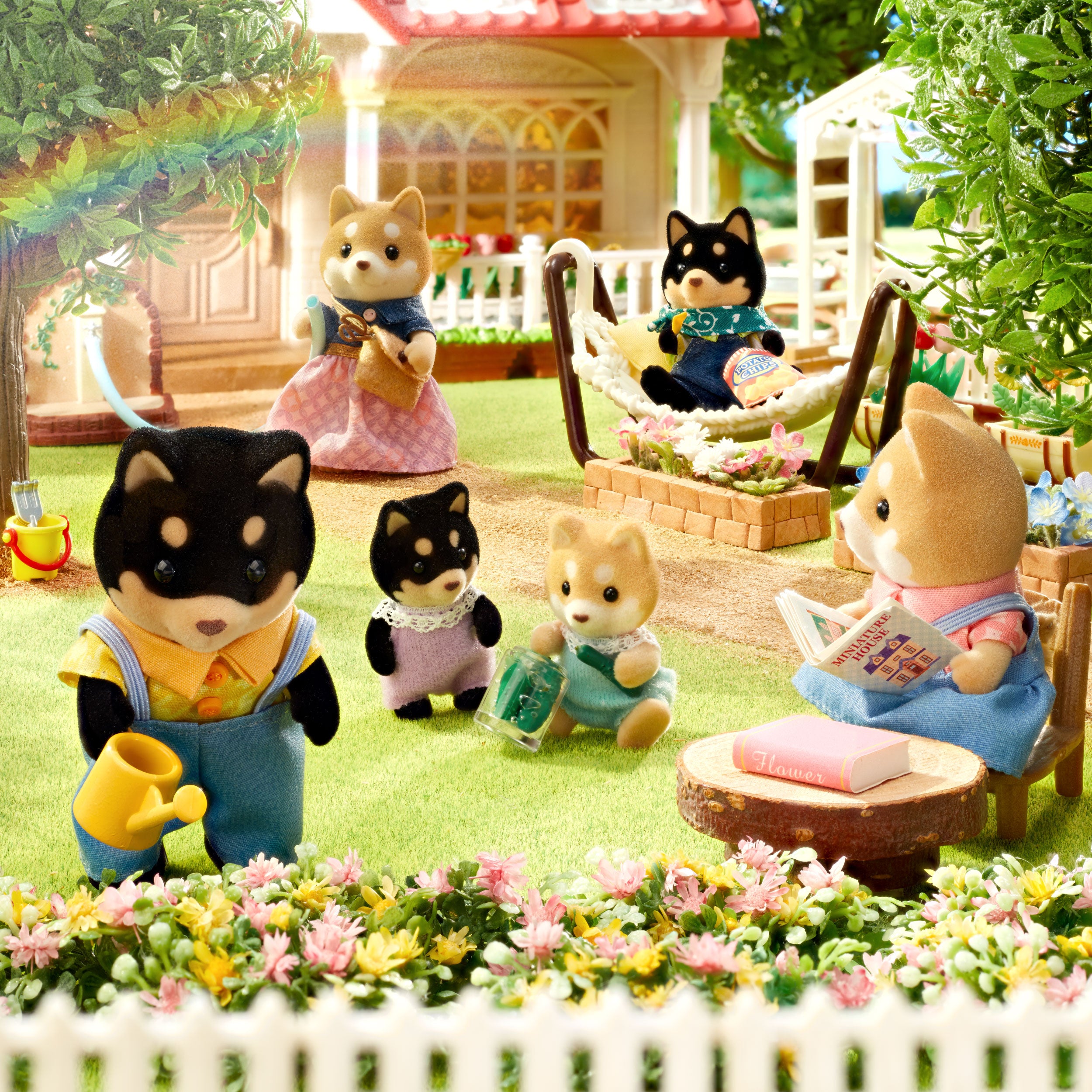 Shiba Dog Family