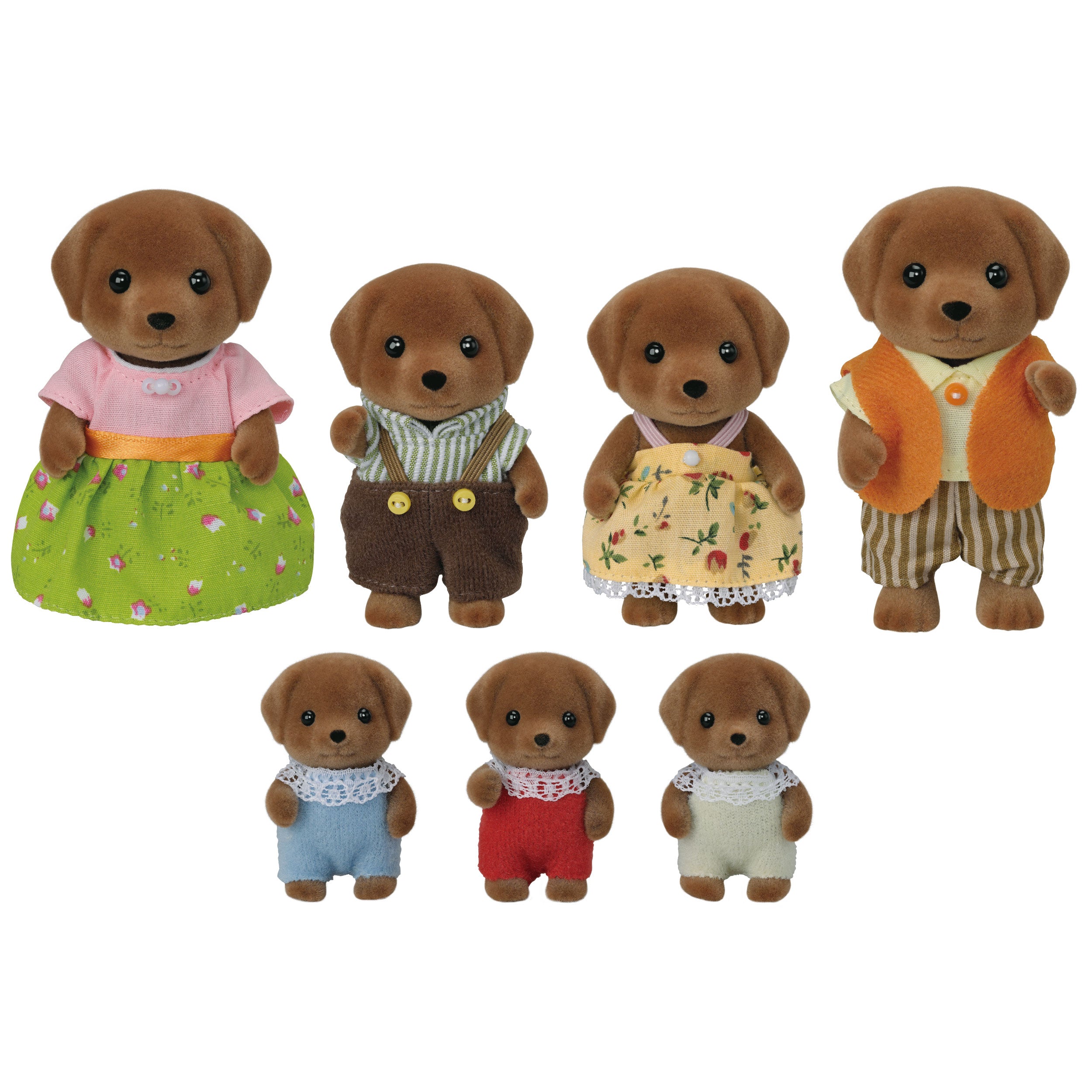 Chocolate Labrador Family