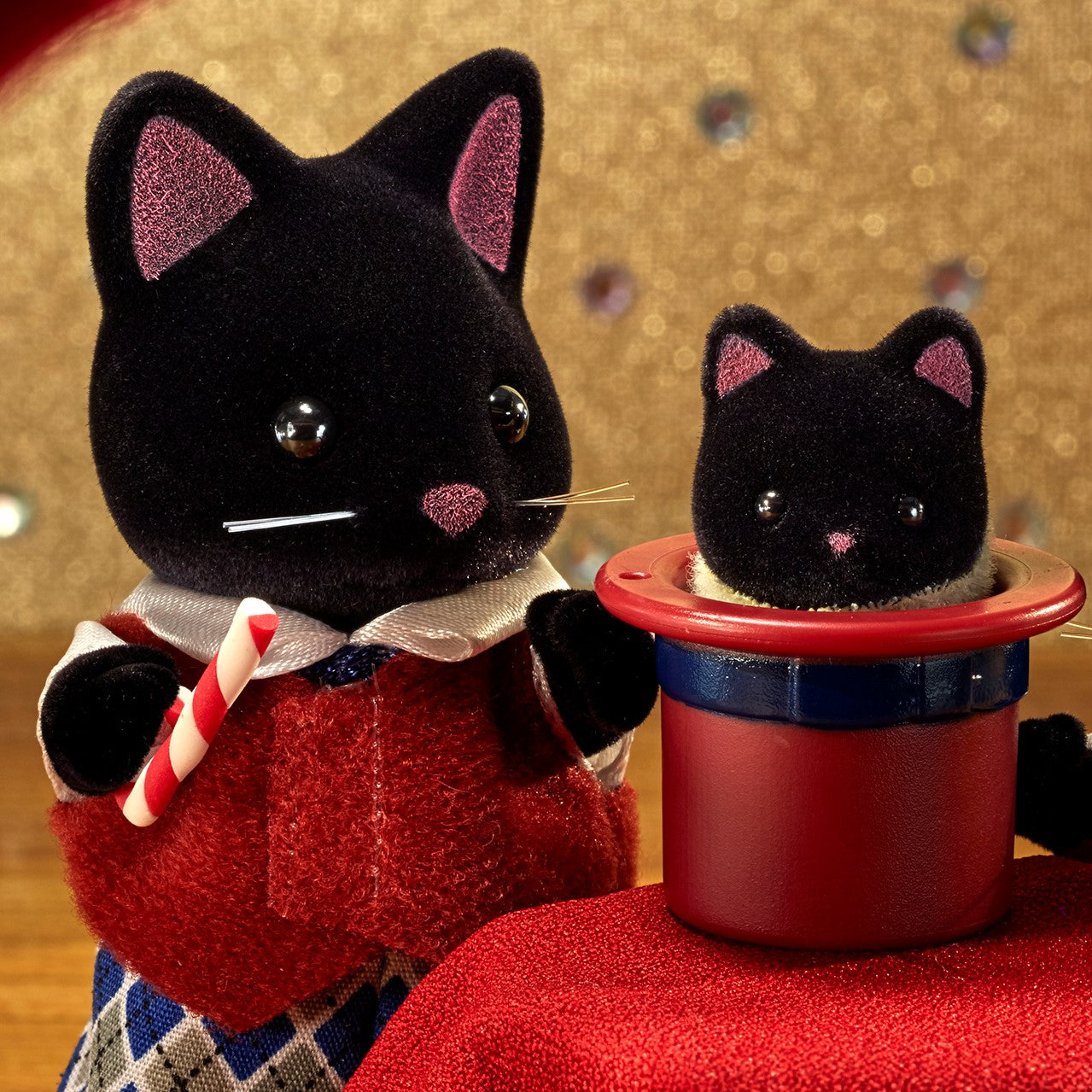Midnight Cat Family