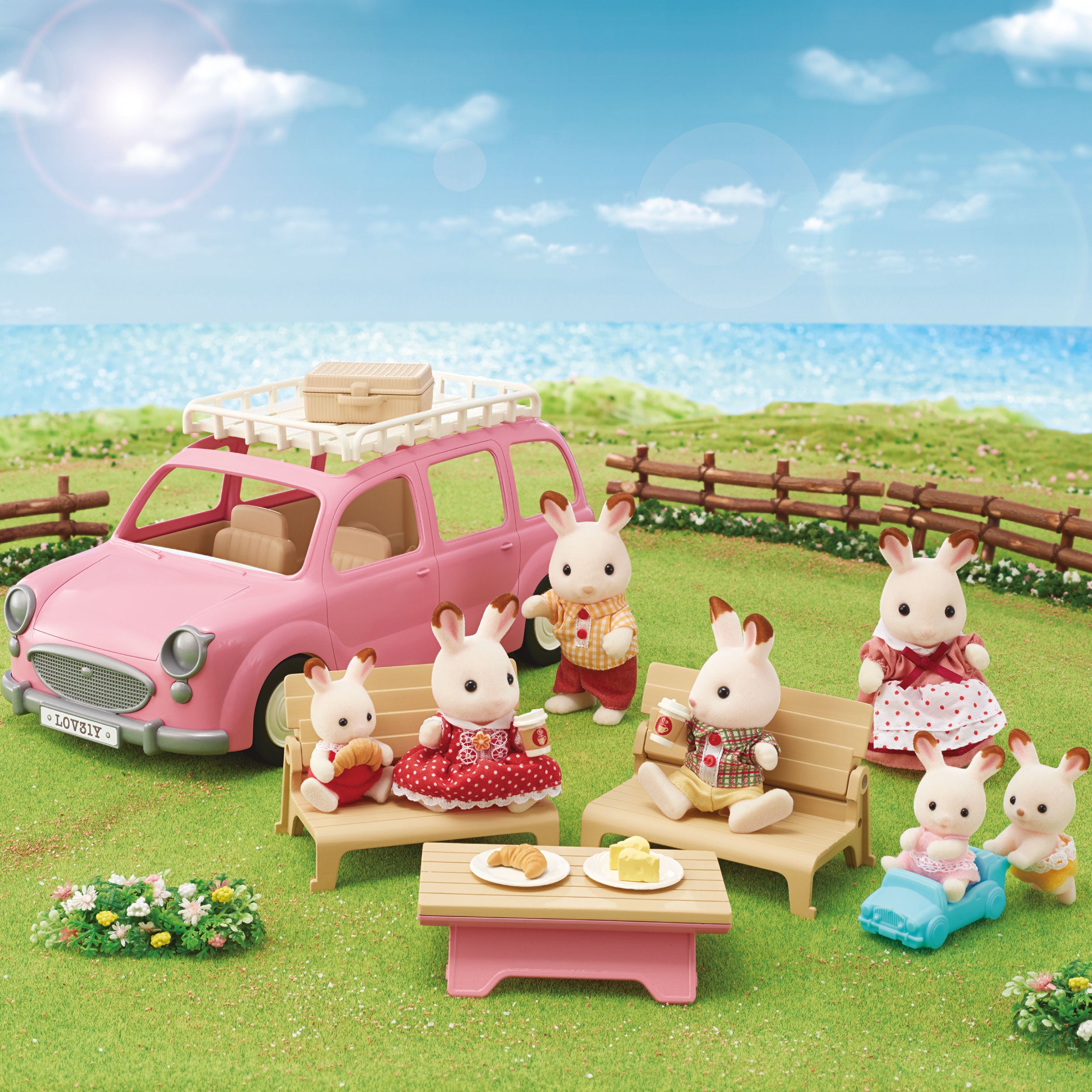 Family Picnic Van