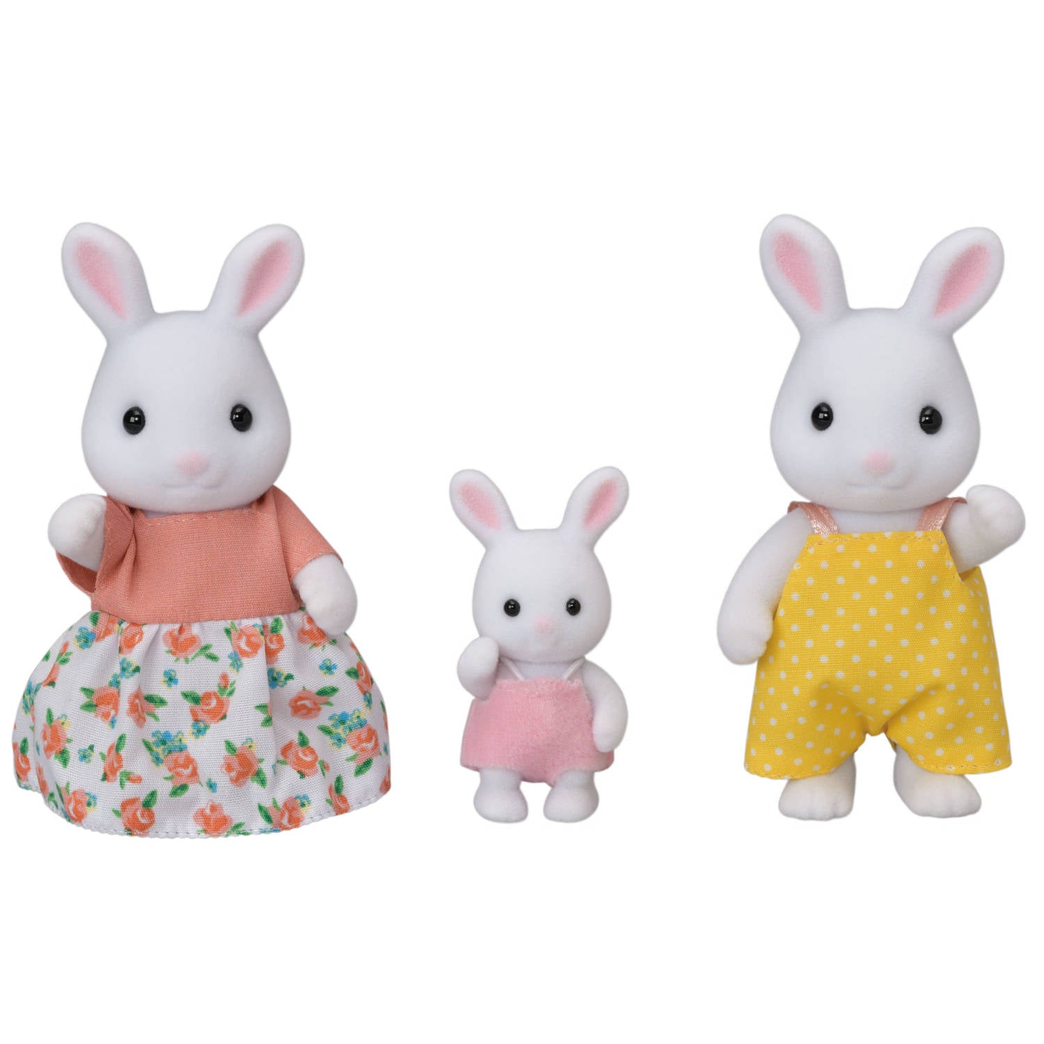 Snow Rabbit Family
