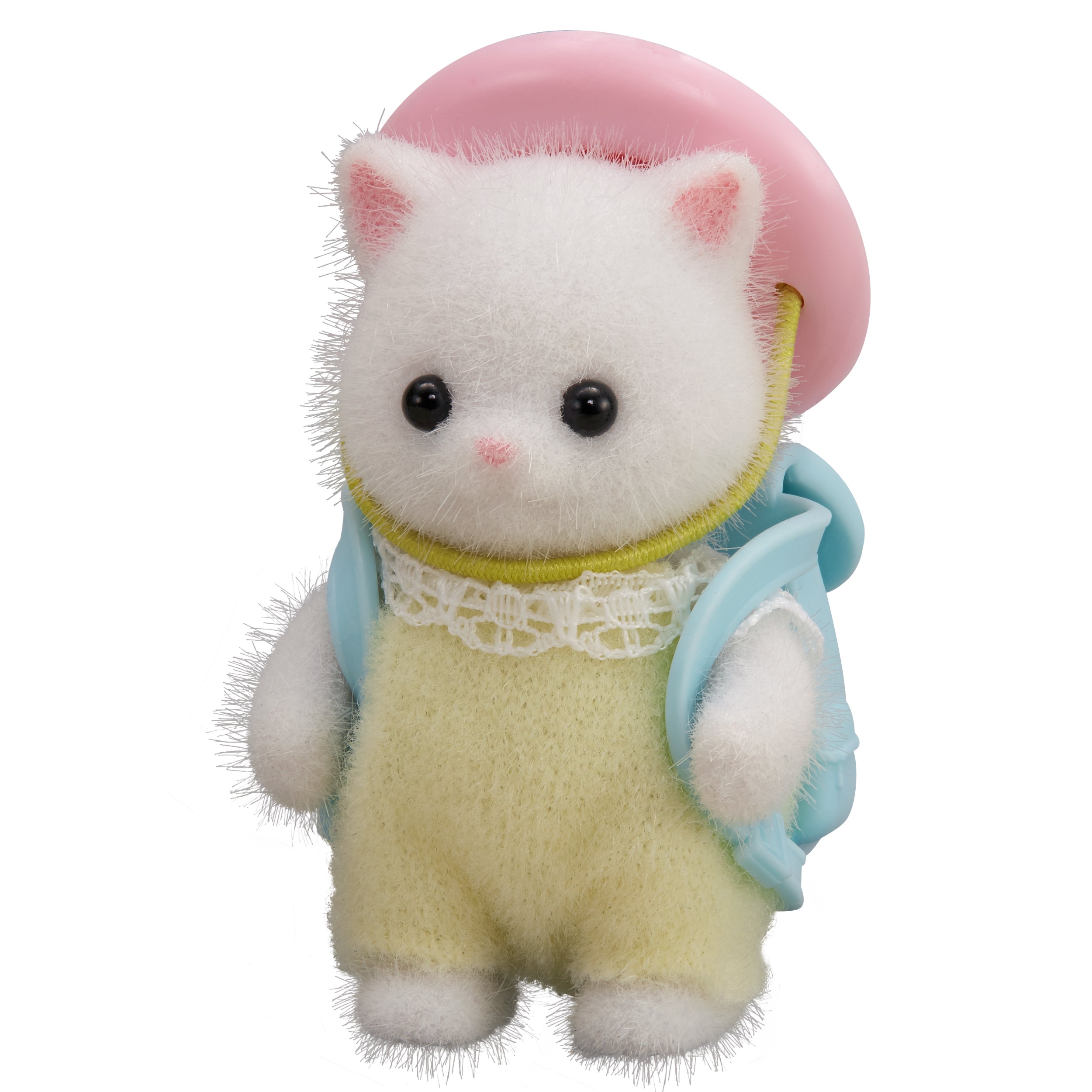 Persian Cat Baby