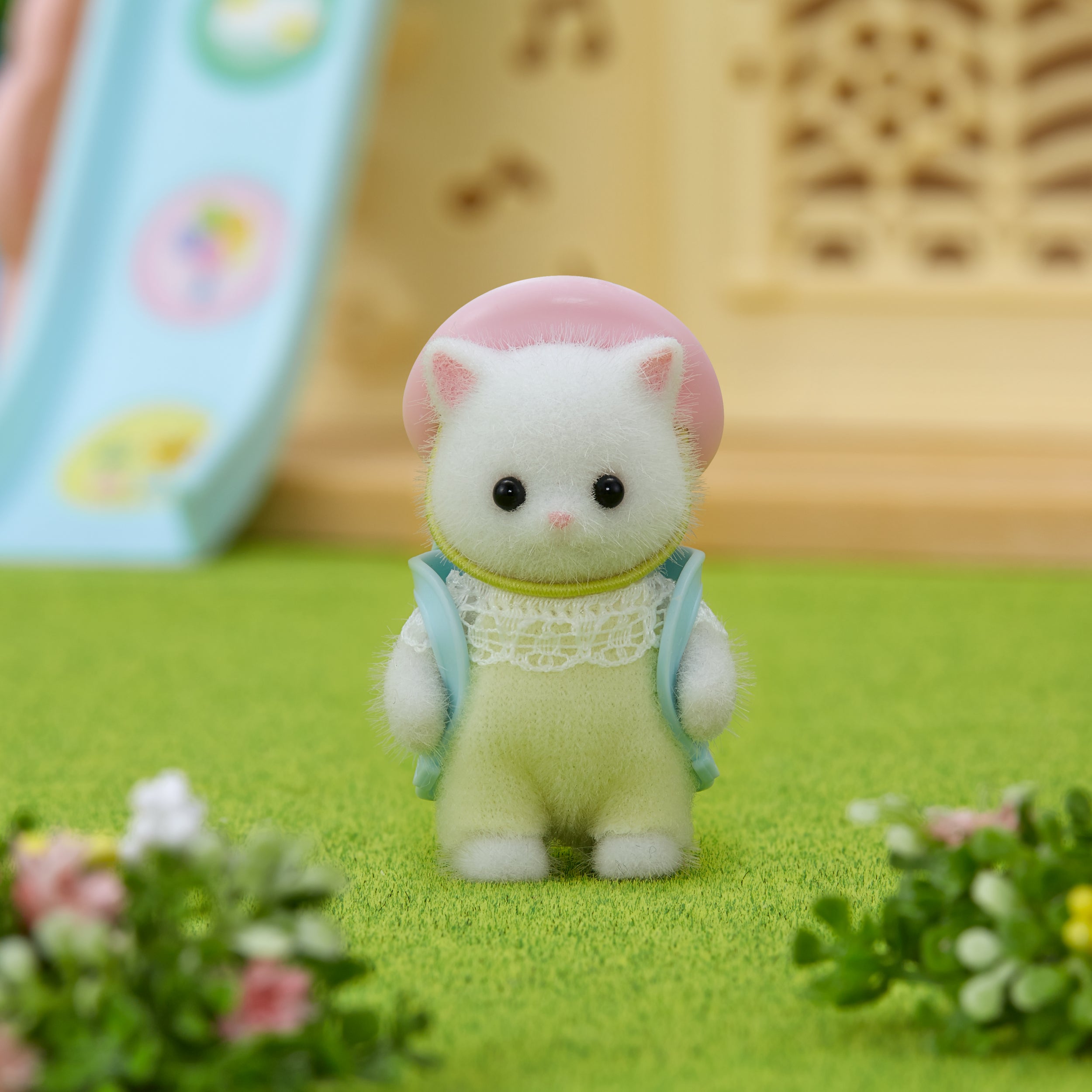 Persian Cat Baby