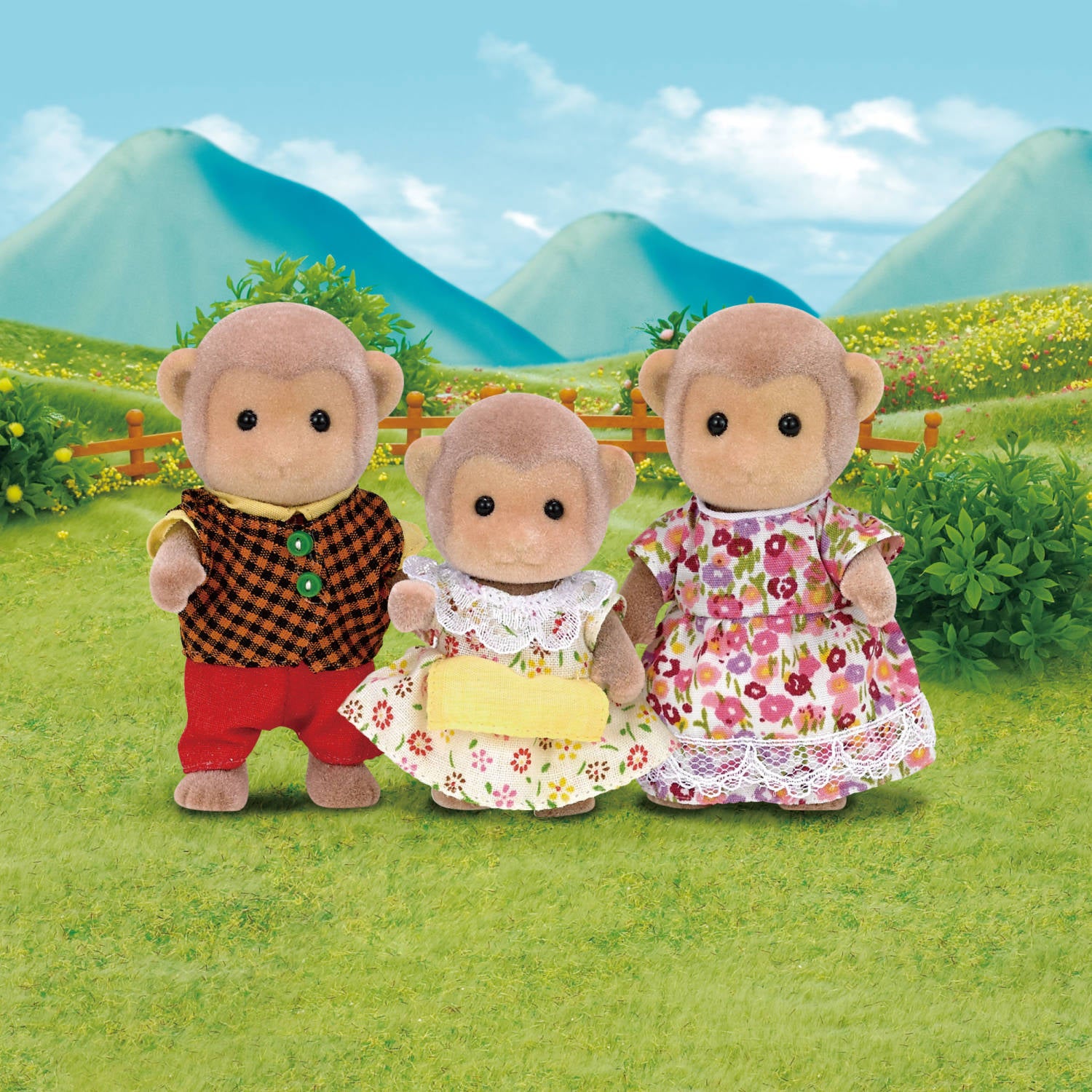Monkey Family