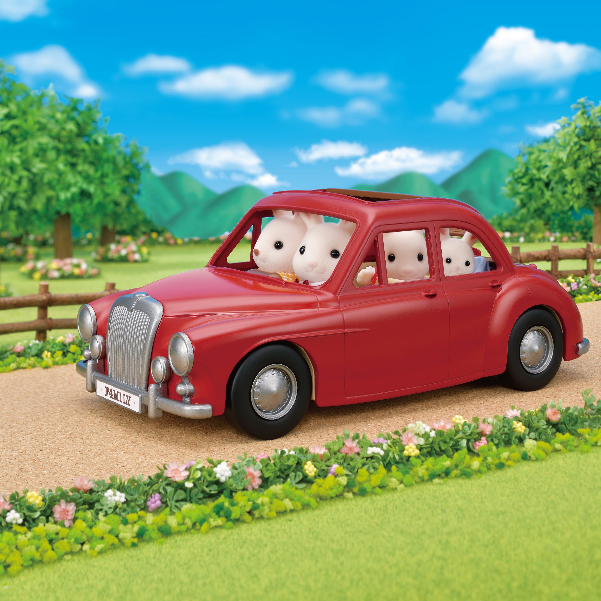 Family Cruising Car