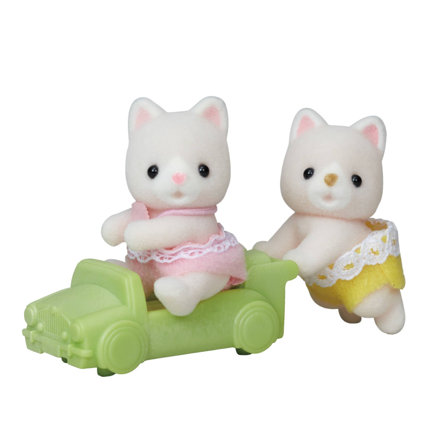 Silk Cat Twins