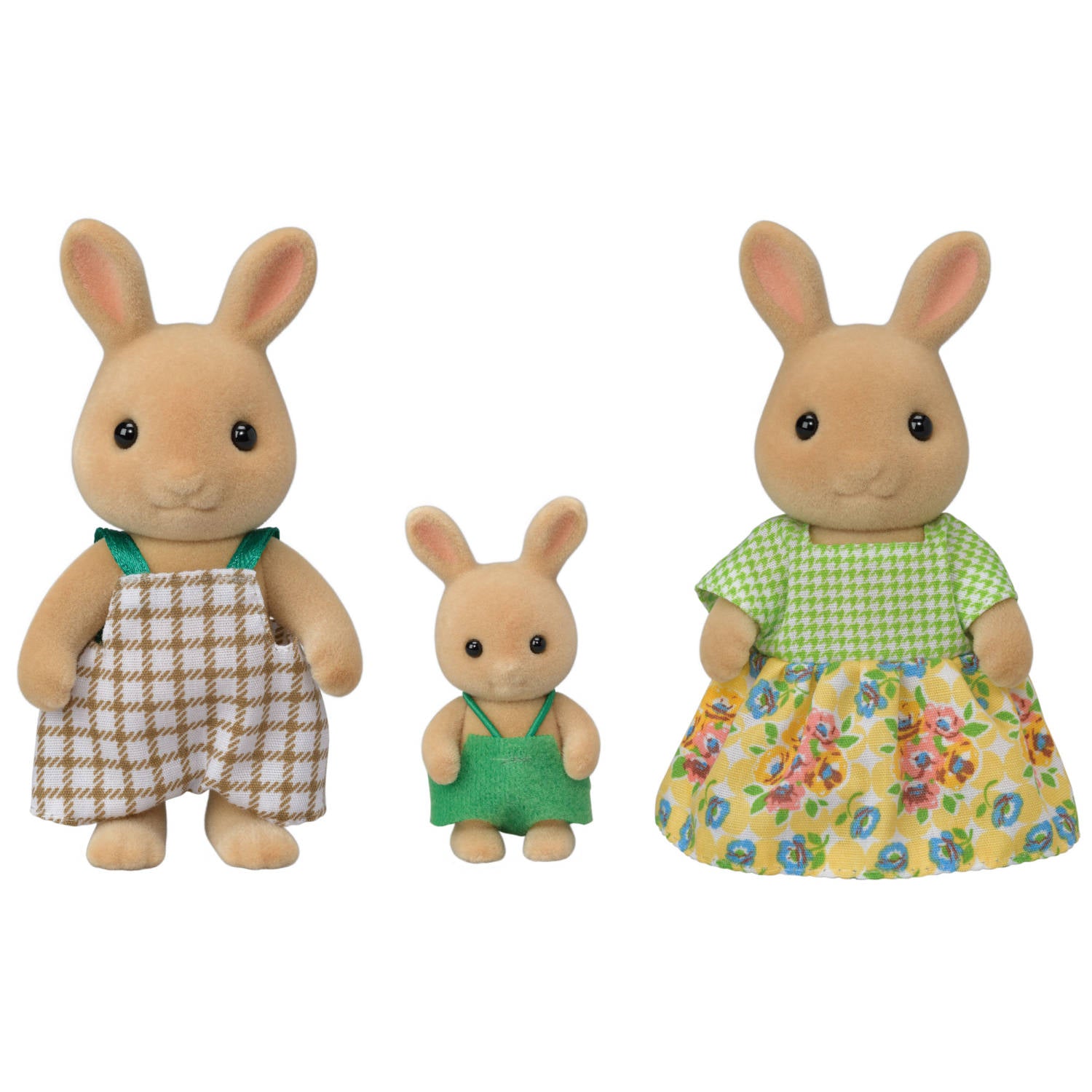 Sunny Rabbit Family