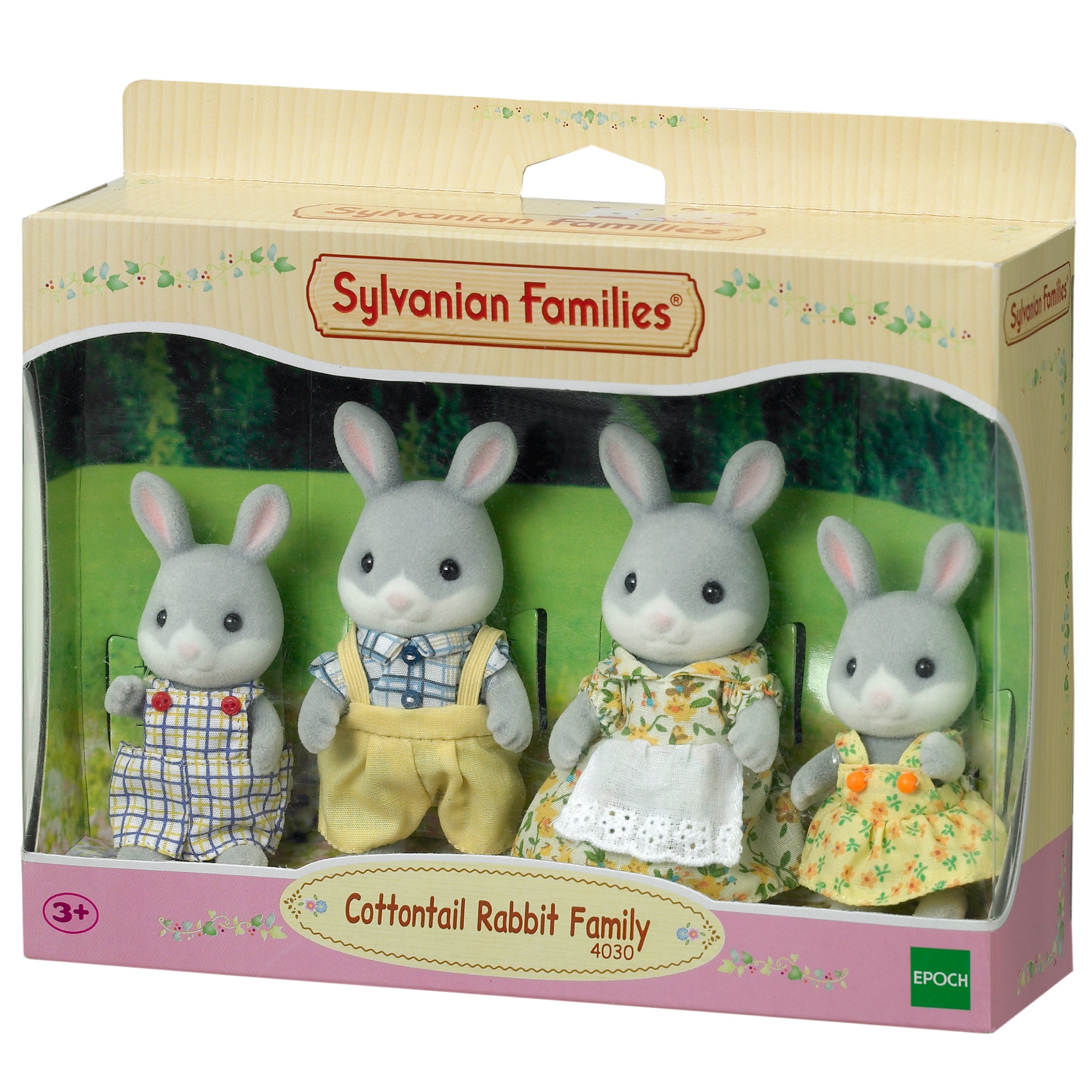 Cottontail Rabbit Family