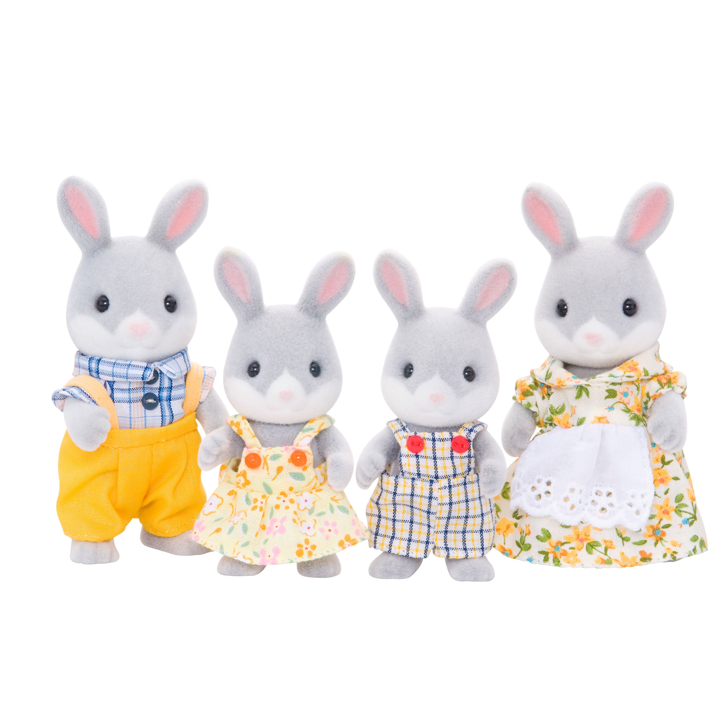 Cottontail Rabbit Family