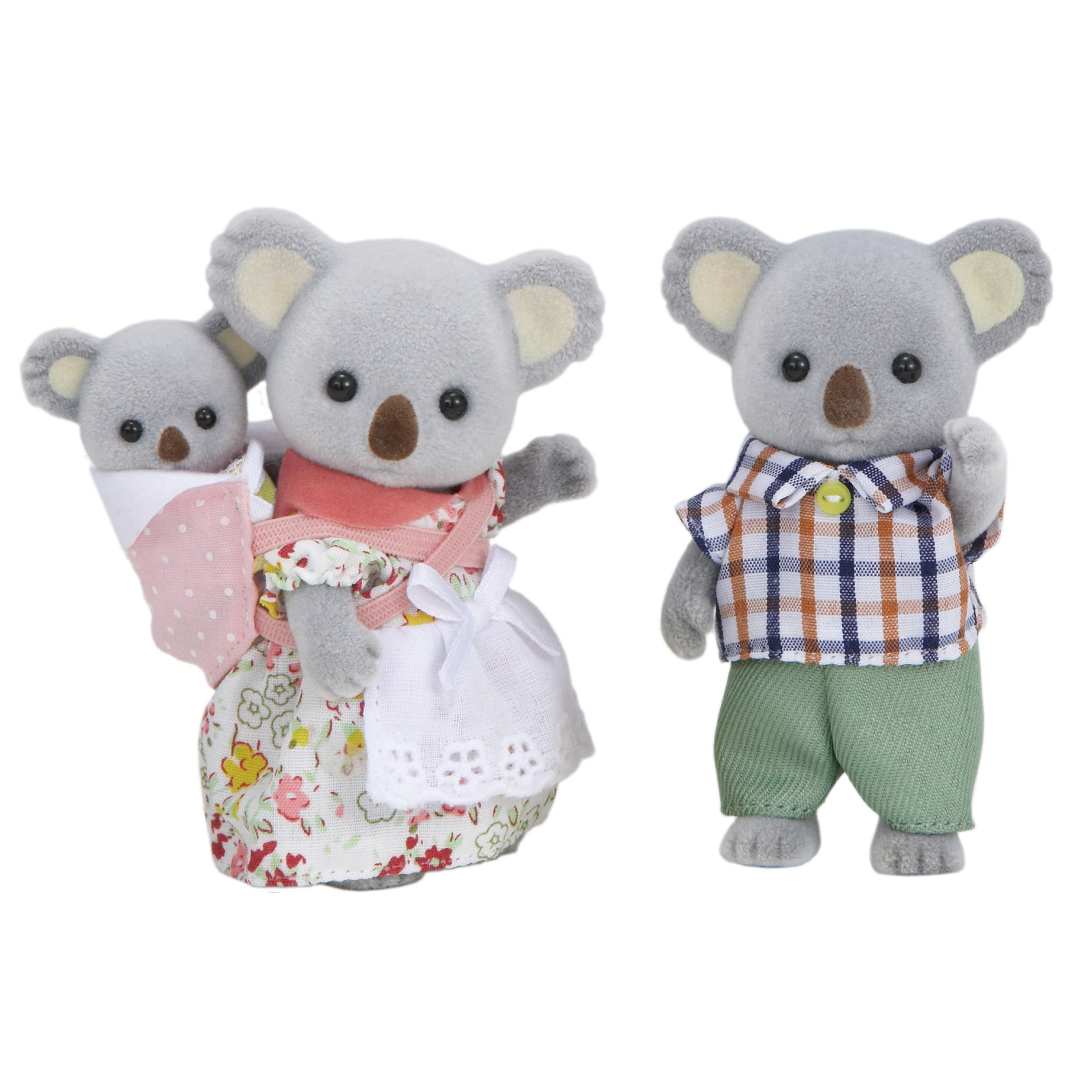 Koala Family