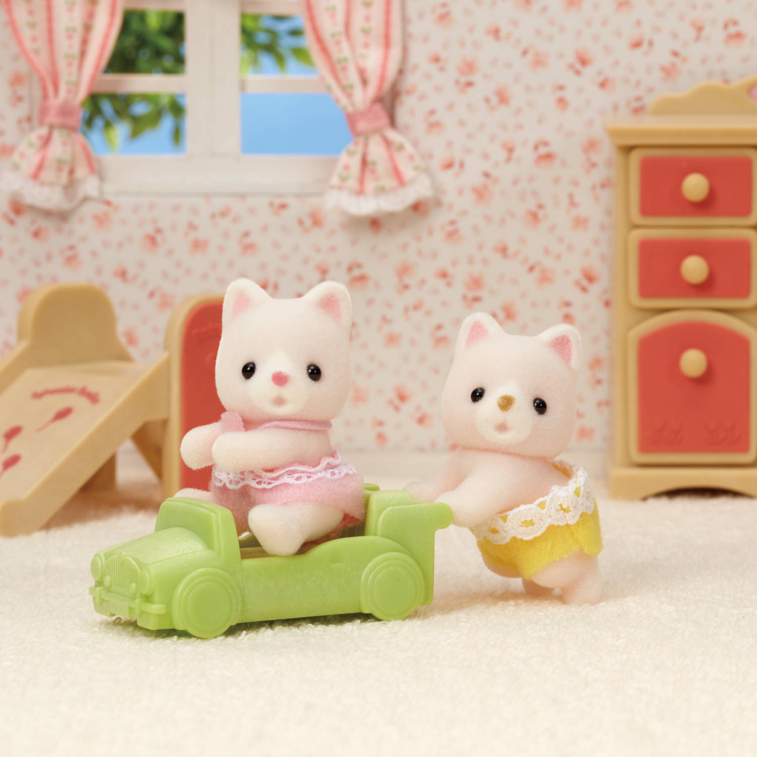 Silk Cat Twins