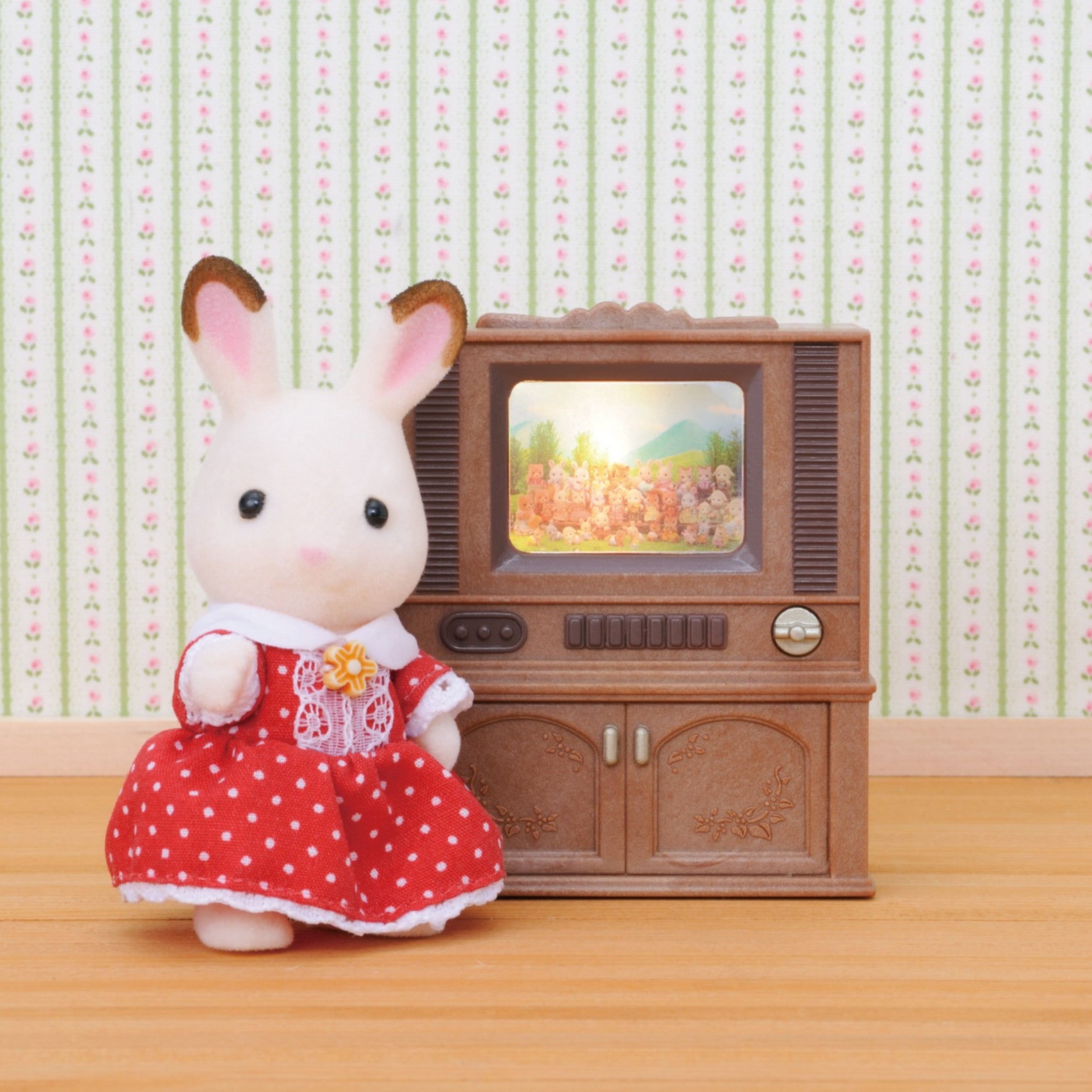 Deluxe TV Set