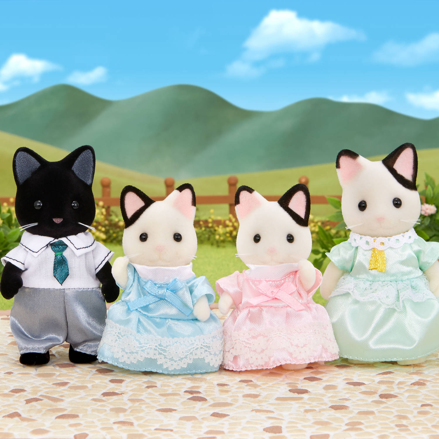 Tuxedo Cat Family