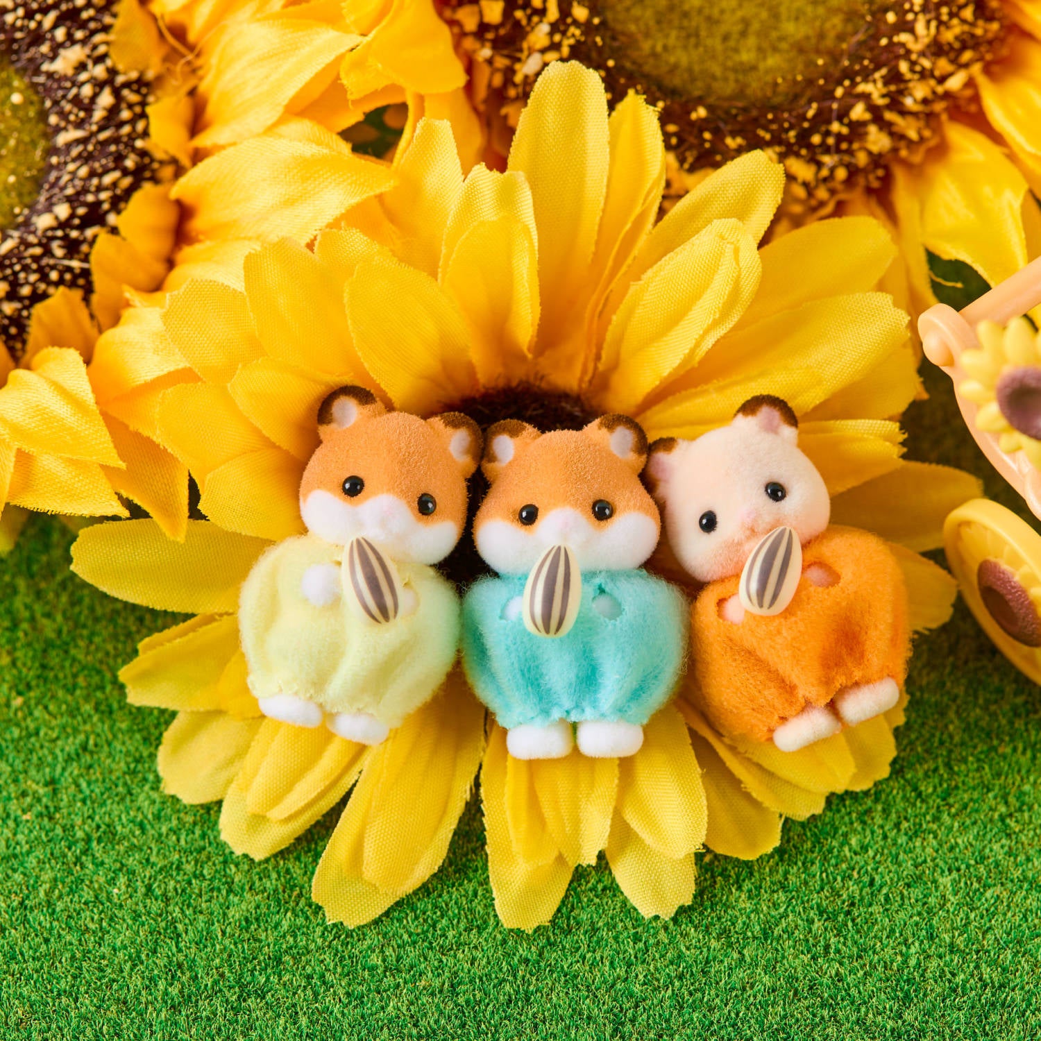 Hamster Family