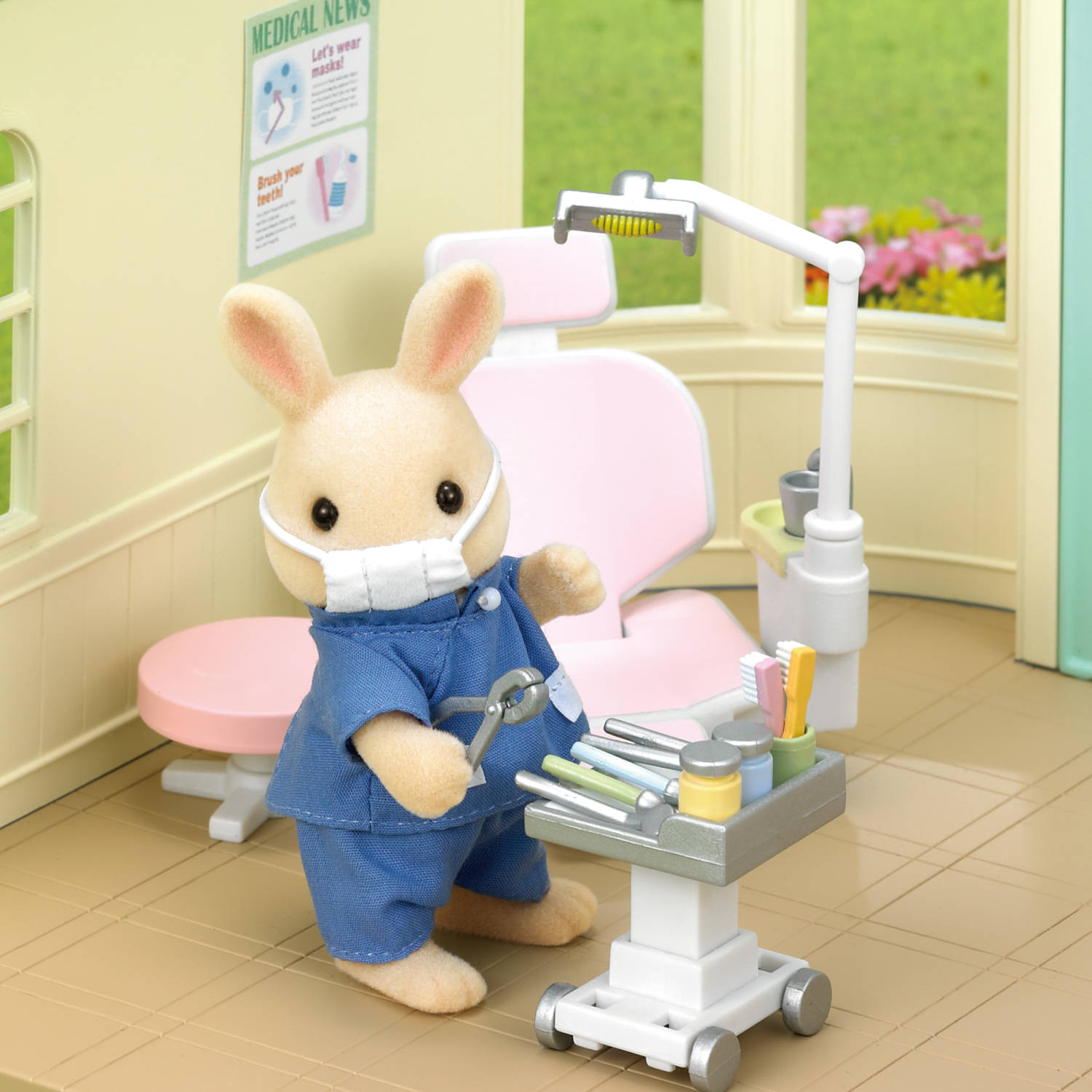 Country Dentist Set