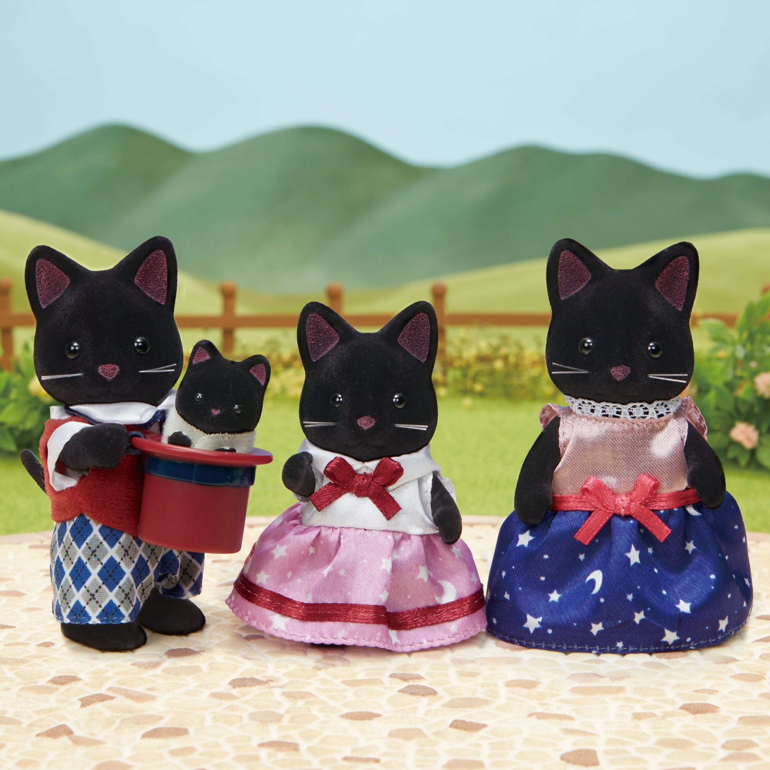 Midnight Cat Family